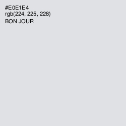 #E0E1E4 - Bon Jour Color Image
